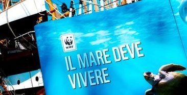 WWF - Vespucci